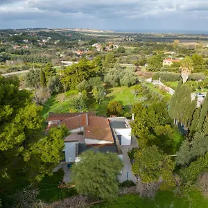Filoxenia Di Umberto , Sassari Italie
